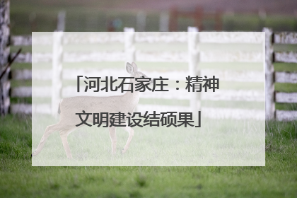 河北石家庄：精神文明建设结硕果