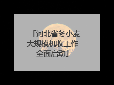河北省冬小麦大规模机收工作全面启动