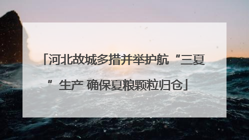 河北故城多措并举护航“三夏”生产 确保夏粮颗粒归仓