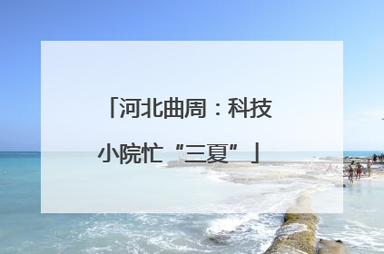 河北曲周：科技小院忙“三夏”
