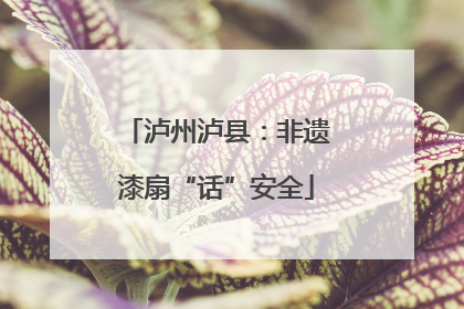 泸州泸县：非遗漆扇“话”安全
