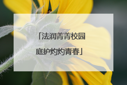法润菁菁校园 庭护灼灼青春