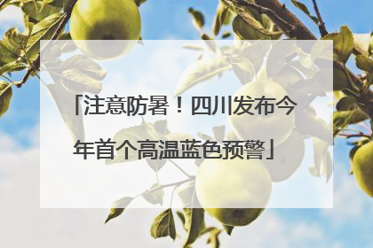 注意防暑！四川发布今年首个高温蓝色预警