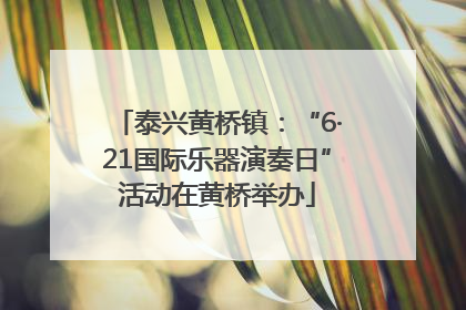 泰兴黄桥镇：“6·21国际乐器演奏日”活动在黄桥举办