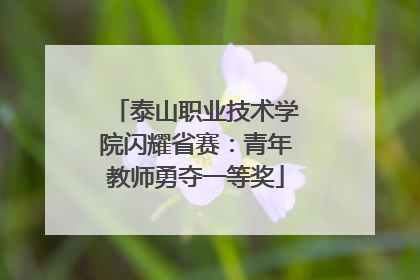 泰山职业技术学院闪耀省赛：青年教师勇夺一等奖