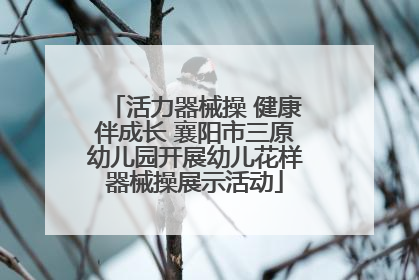 活力器械操 健康伴成长 襄阳市三原幼儿园开展幼儿花样器械操展示活动