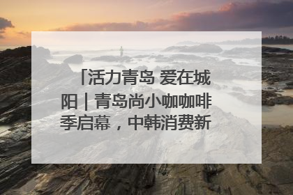 活力青岛 爱在城阳｜青岛尚小咖咖啡季启幕，中韩消费新场景点燃夏日热情