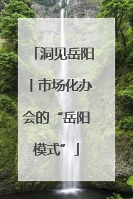 洞见岳阳丨市场化办会的“岳阳模式”