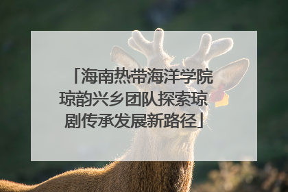 海南热带海洋学院琼韵兴乡团队探索琼剧传承发展新路径