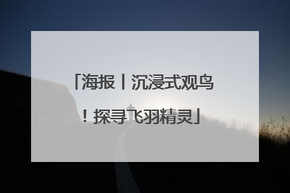 海报丨沉浸式观鸟！探寻飞羽精灵