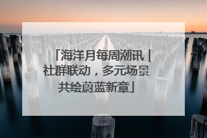 海洋月每周潮讯｜社群联动，多元场景共绘蔚蓝新章