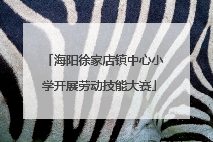 海阳徐家店镇中心小学开展劳动技能大赛