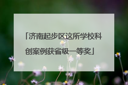 济南起步区这所学校科创案例获省级一等奖