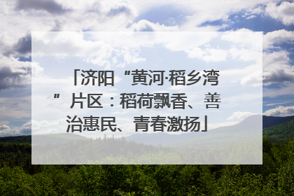 济阳“黄河·稻乡湾”片区：稻荷飘香、善治惠民、青春激扬