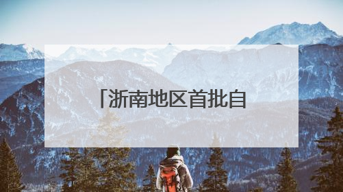 浙南地区首批自有TIR车辆启程 “购车远航”助推外贸发展