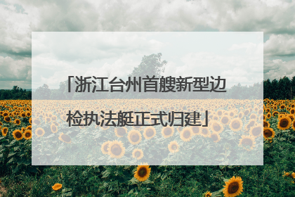 浙江台州首艘新型边检执法艇正式归建