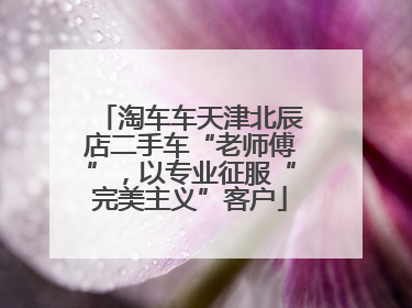 淘车车天津北辰店二手车“老师傅”，以专业征服“完美主义”客户