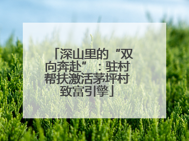 深山里的“双向奔赴”：驻村帮扶激活茅坪村致富引擎