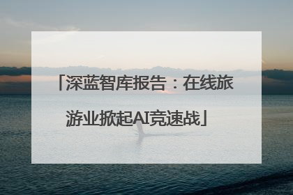 深蓝智库报告：在线旅游业掀起AI竞速战