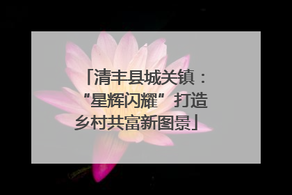 清丰县城关镇：“星辉闪耀”打造乡村共富新图景