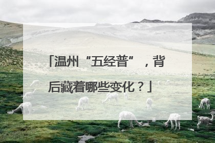 温州“五经普”，背后藏着哪些变化？