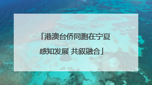 港澳台侨同胞在宁夏感知发展 共叙融合