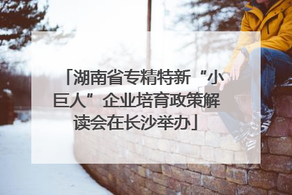 湖南省专精特新“小巨人”企业培育政策解读会在长沙举办