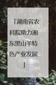湖南省农科院助力湘东黑山羊特色产业发展