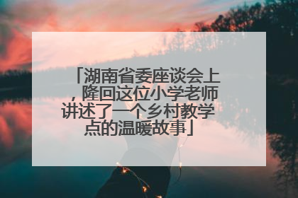 湖南省委座谈会上，隆回这位小学老师讲述了一个乡村教学点的温暖故事