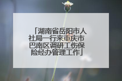 湖南省岳阳市人社局一行来重庆市巴南区调研工伤保险经办管理工作