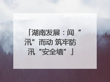 湖南发展：闻“汛”而动 筑牢防汛“安全墙”