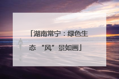 湖南常宁：绿色生态 “风”景如画