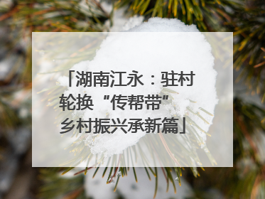 湖南江永：驻村轮换“传帮带” 乡村振兴承新篇