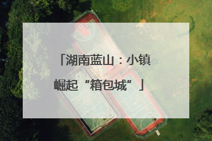 湖南蓝山：小镇崛起“箱包城”