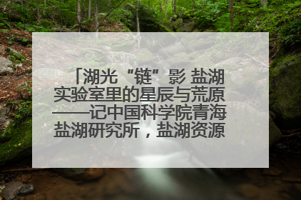 湖光“链”影 盐湖实验室里的星辰与荒原——记中国科学院青海盐湖研究所，盐湖资源化学实验室党总支书记、副主任刘忠