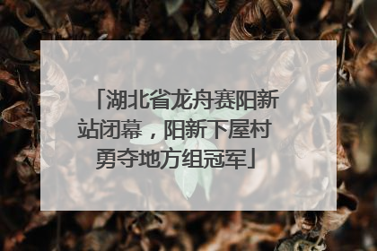 湖北省龙舟赛阳新站闭幕，阳新下屋村勇夺地方组冠军