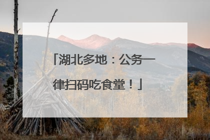 湖北多地：公务一律扫码吃食堂！