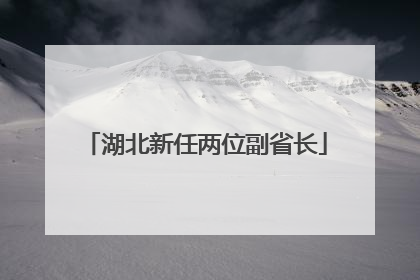 湖北新任两位副省长