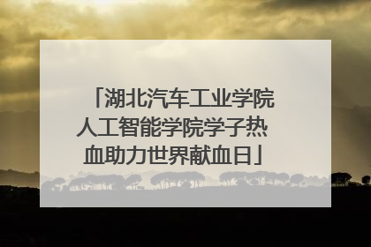 湖北汽车工业学院人工智能学院学子热血助力世界献血日