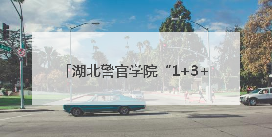 湖北警官学院“1+3+N”实战育警硕果盈枝