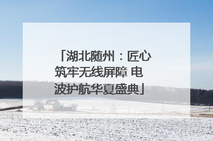 湖北随州：匠心筑牢无线屏障 电波护航华夏盛典