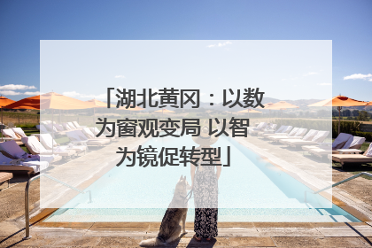 湖北黄冈：以数为窗观变局 以智为镜促转型