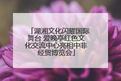 湖湘文化闪耀国际舞台 爱晚亭红色文化交流中心亮相中非经贸博览会