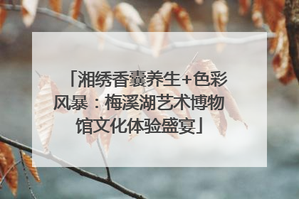 湘绣香囊养生+色彩风暴：梅溪湖艺术博物馆文化体验盛宴