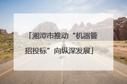 湘潭市推动“机器管招投标”向纵深发展