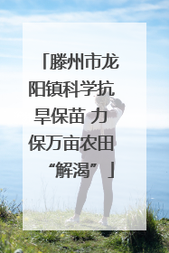 滕州市龙阳镇科学抗旱保苗 力保万亩农田“解渴”