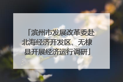 滨州市发展改革委赴北海经济开发区、无棣县开展经济运行调研