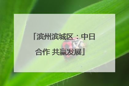 滨州滨城区：中日合作 共赢发展