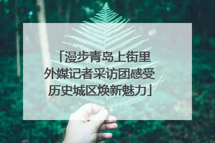 漫步青岛上街里 外媒记者采访团感受历史城区焕新魅力