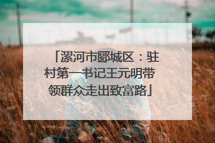 漯河市郾城区：驻村第一书记王元明带领群众走出致富路